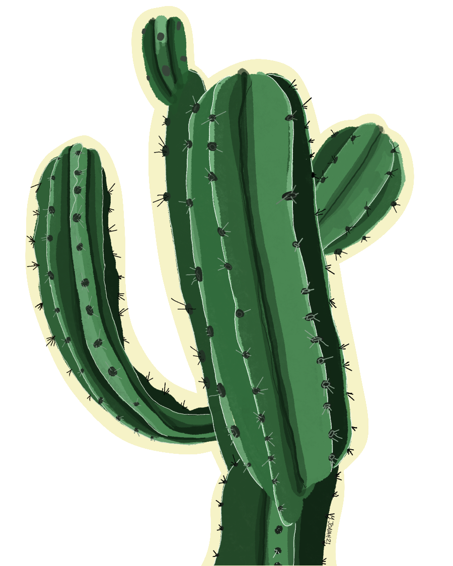 Cactus Sticker